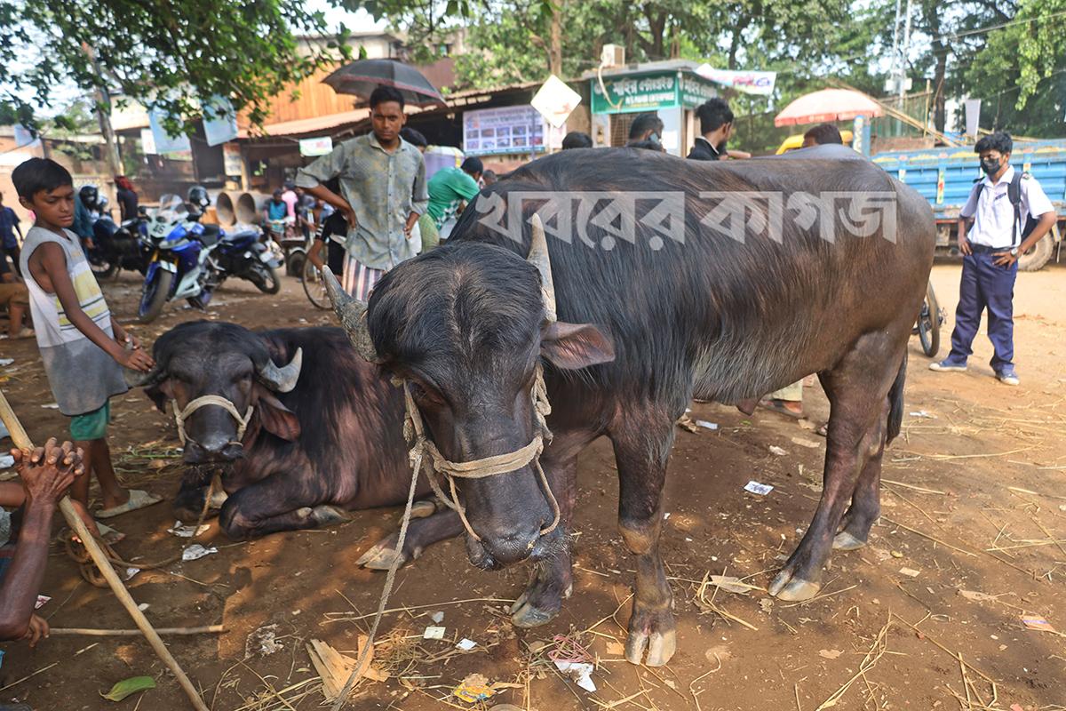 বাংলাদেশ মেডিকেল বিশ্ববিদ্যালয়ের স্টাফ কোয়ার্টার